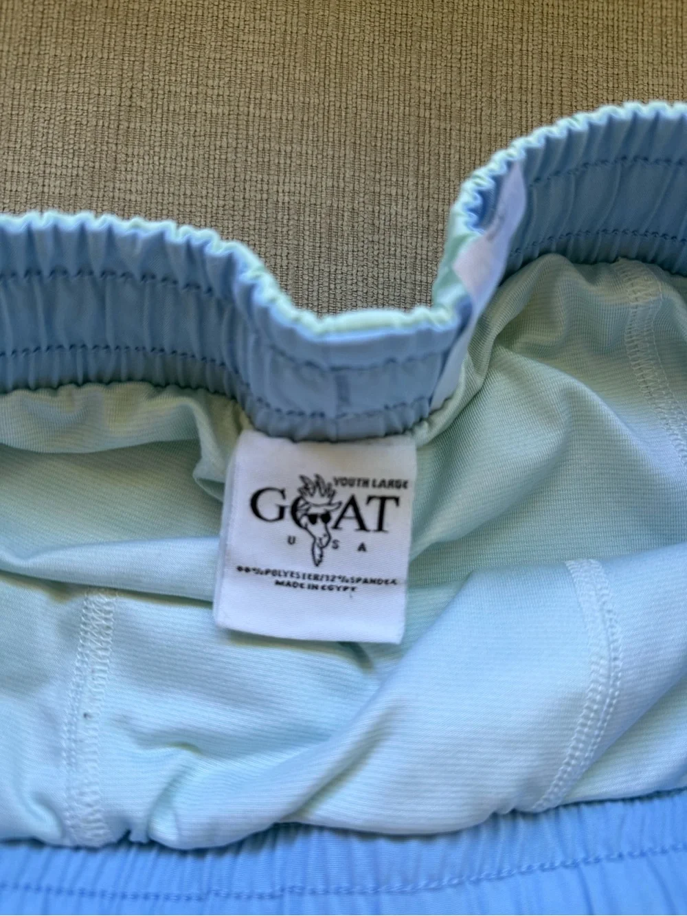 Kids Mint Green Swim Trunks with Playful Dog Graphic